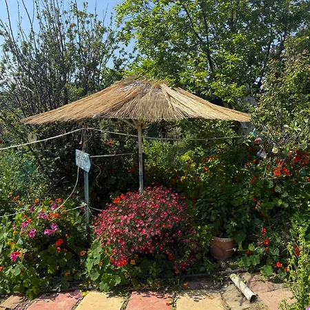Modern 1-bedroom With Bbq & Roof Garden Near